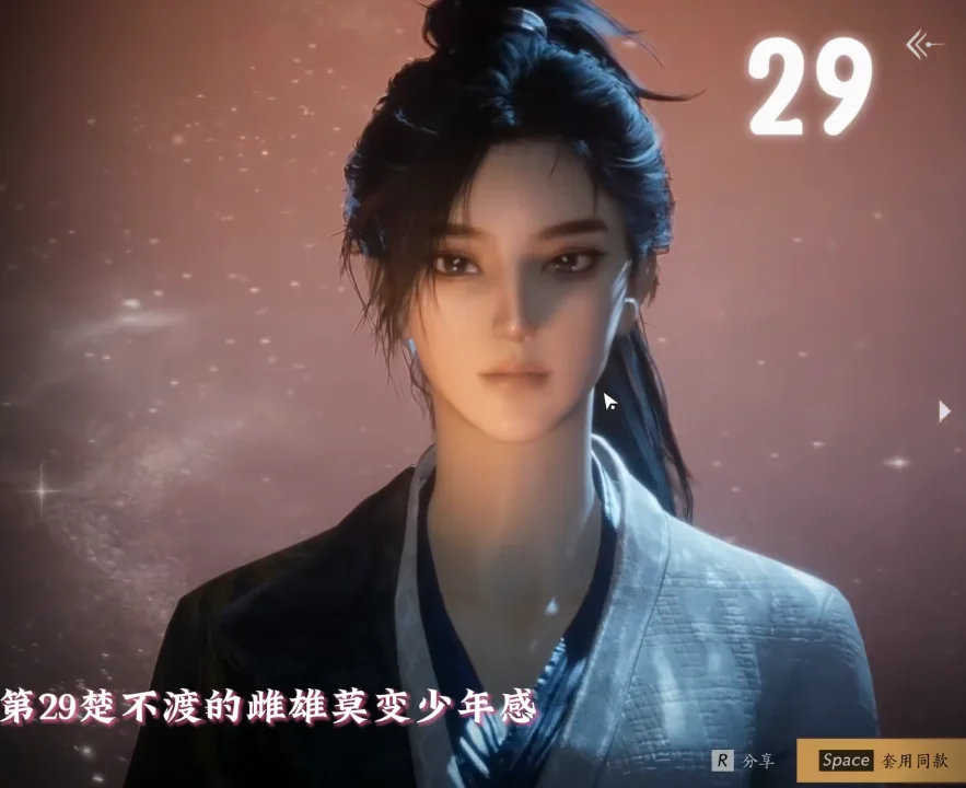 Where Winds Meet Preset 29 face-code preview