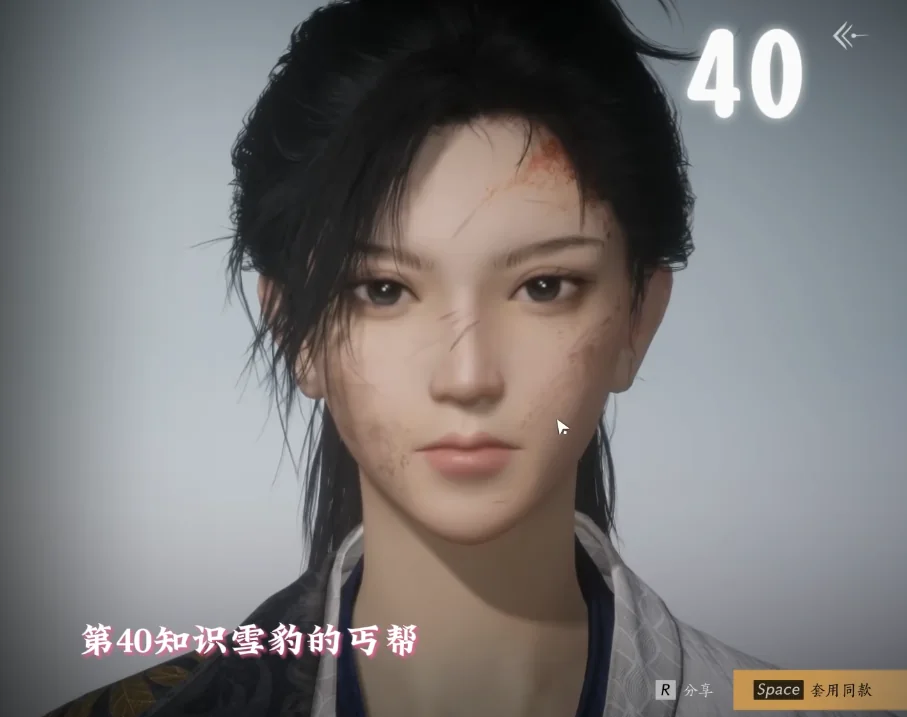 Where Winds Meet Preset 40 face-code preview