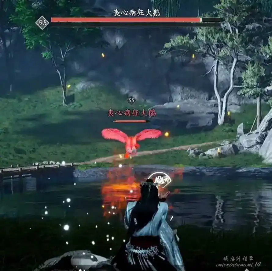 Maniacal goose being targeted with Tai Chi beside deep water